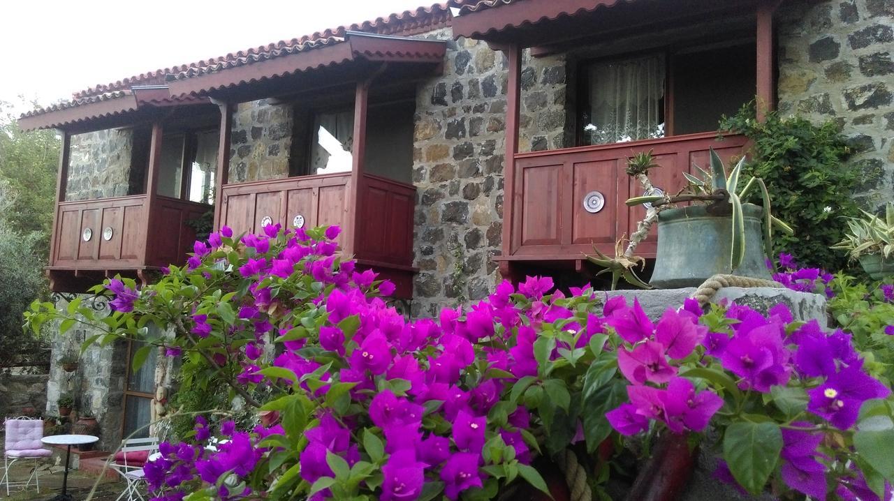 Bed and Breakfast Karaburun Bahce Екстер'єр фото